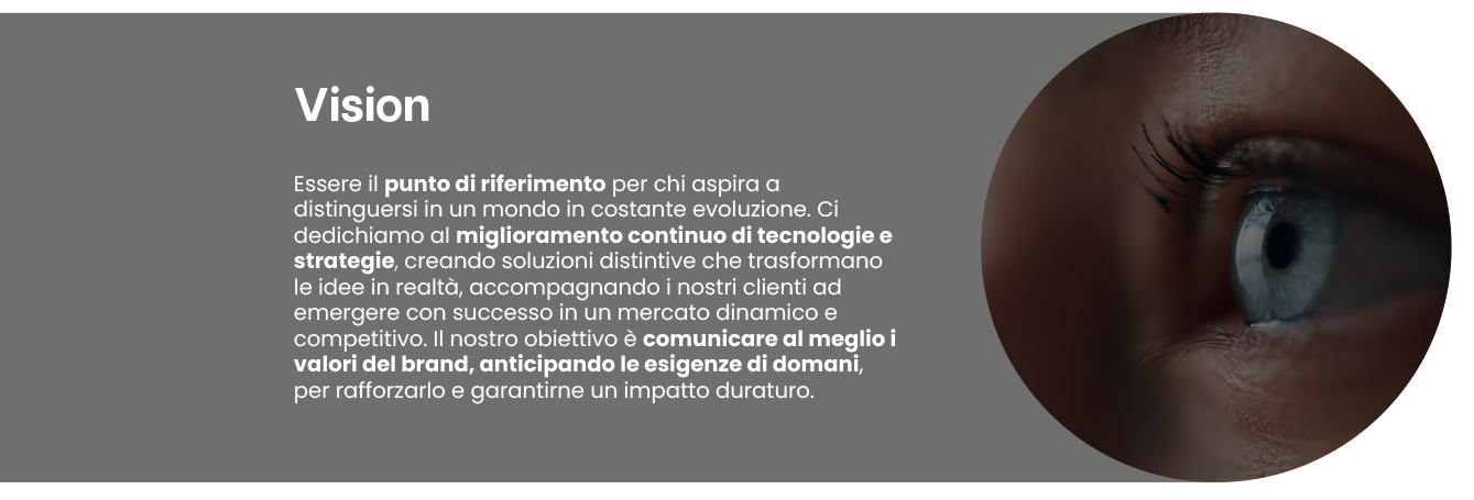 vision copy